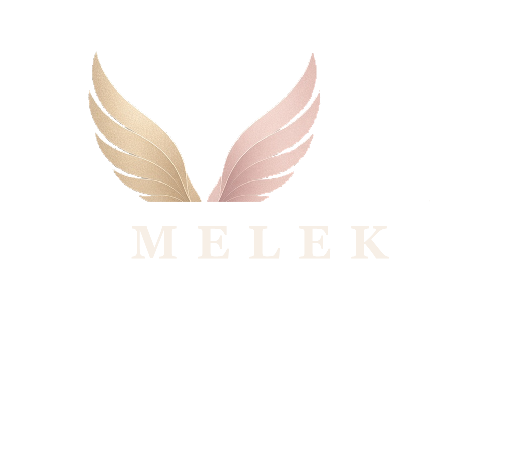 Melek logosu — kanat ve MELEK yazısı